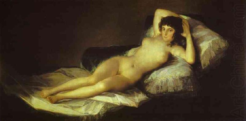 Francisco Jose de Goya The Nude Maja china oil painting image